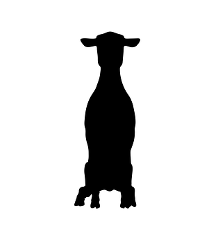 Sheep Silhouette Profile PNG image