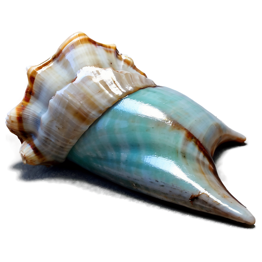 Shell In Ocean Breeze Png Kyu63 PNG image