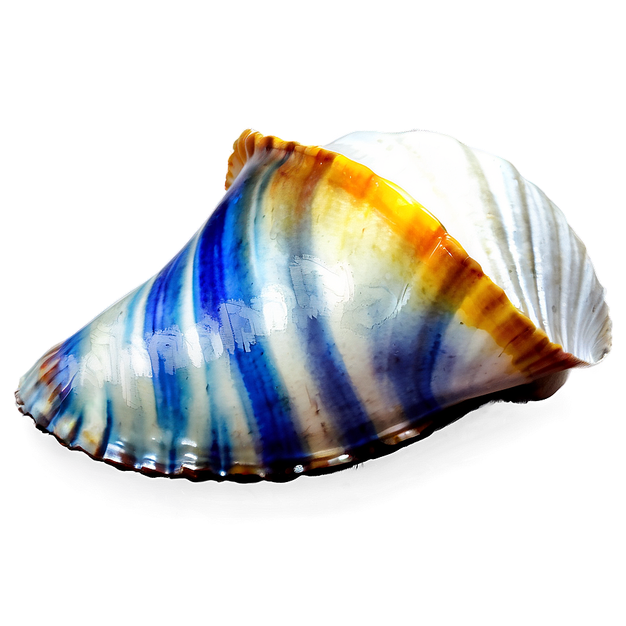 Shell Watercolor Png Ram96 PNG image