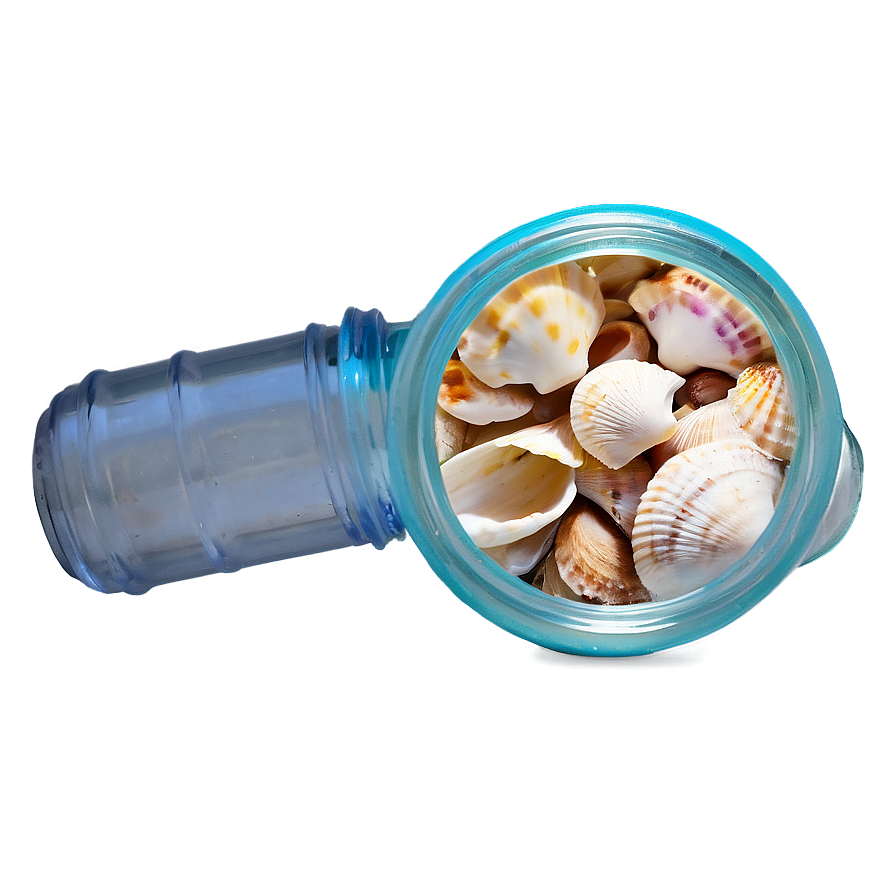 Shells In A Glass Jar Png 06212024 PNG image