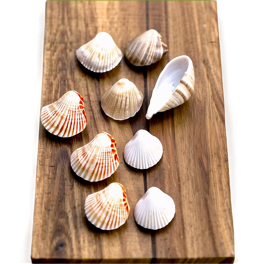 Shells On Wooden Surface Png Nfj PNG image