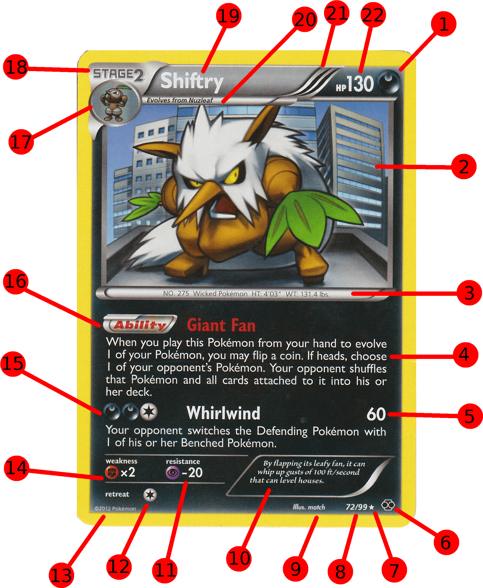 Shiftry Pokemon Card Annotated PNG image