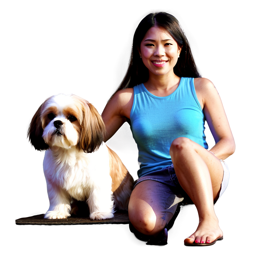 Shih Tzu And Friends Png 96 PNG image