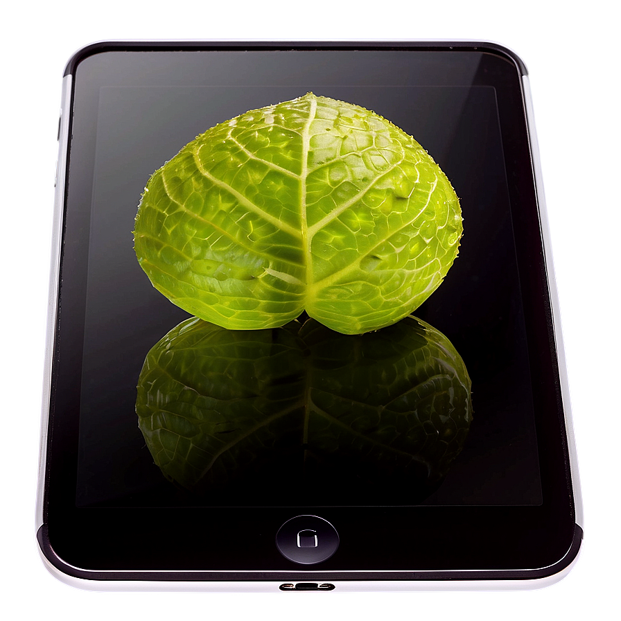 Shiny Ipad Mini Display Png Akd78 PNG image