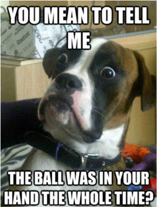 Shocked Dog Ball Revelation Meme PNG image