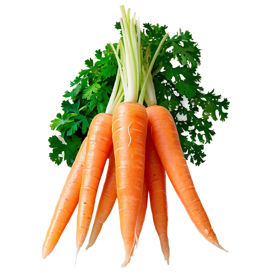 Shredded Carrot Png 05242024 PNG image