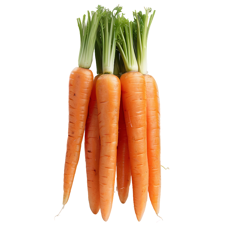 Shredded Carrot Png Bxx11 PNG image