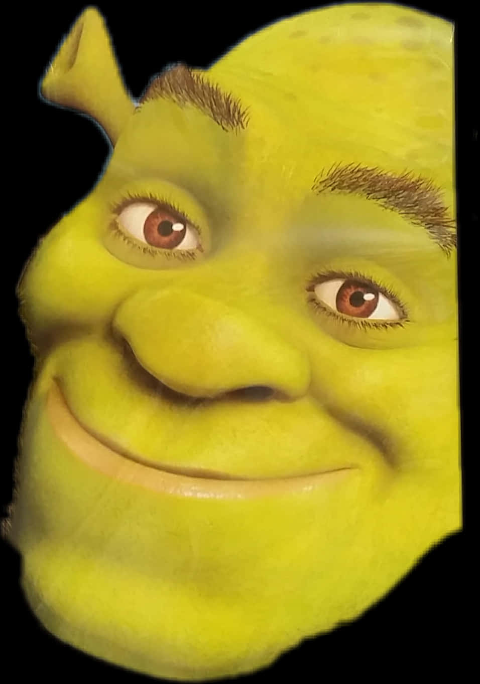 Shrek Character Close Up PNG image
