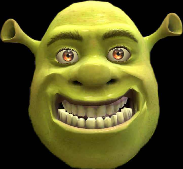 Shrek Smiling Close Up PNG image