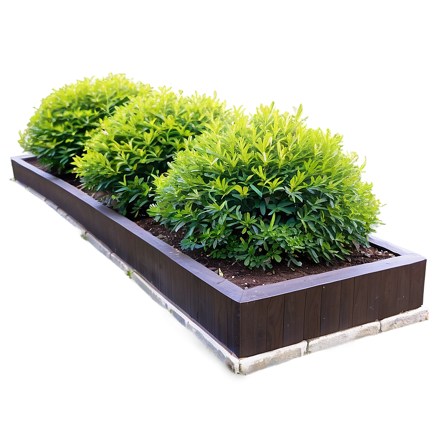 Shrub In Garden Bed Png 56 PNG image