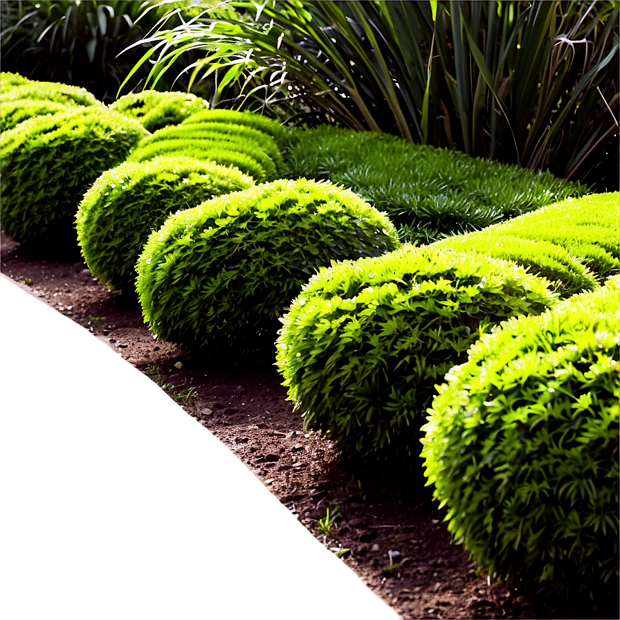 Shrub Pathway Png 9 PNG image