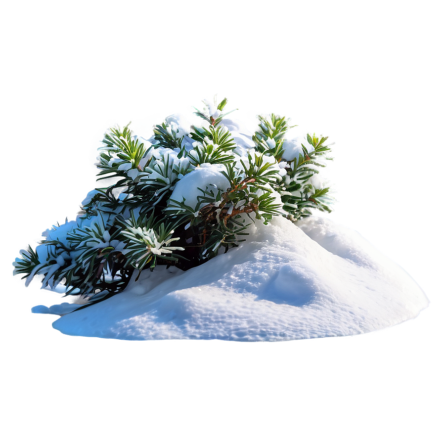 Shrub With Snow Png Aox56 PNG image