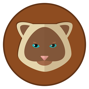 Siamese Cat Icon PNG image