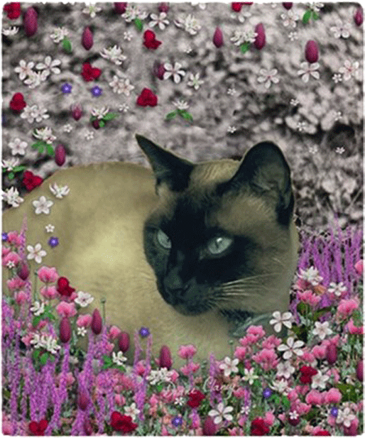 Siamese Catin Floral Garden.jpg PNG image