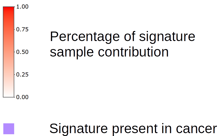 Signature Contribution Cancer Research PNG image