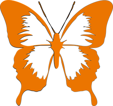Silhouette Butterfly Human Face Illusion PNG image