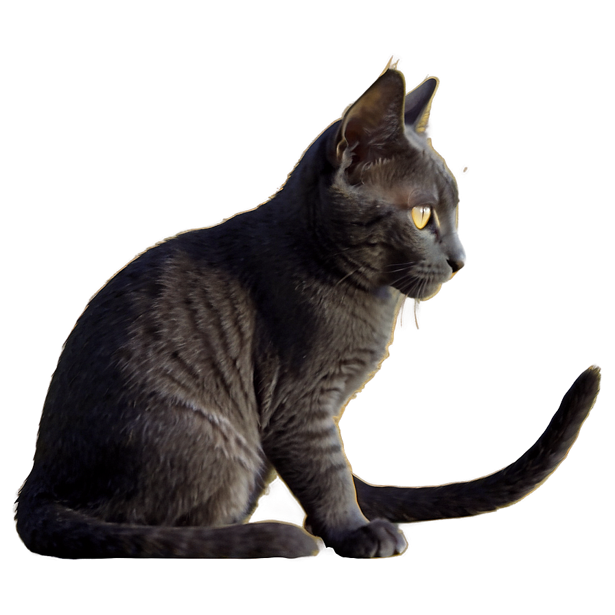 Silhouette Of Grey Cat Png 22 PNG image