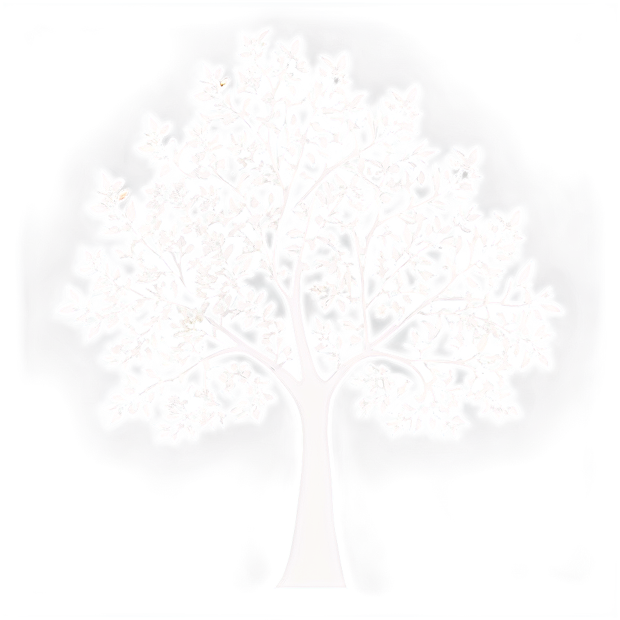 Silhouette Tree Outline Png Box5 PNG image