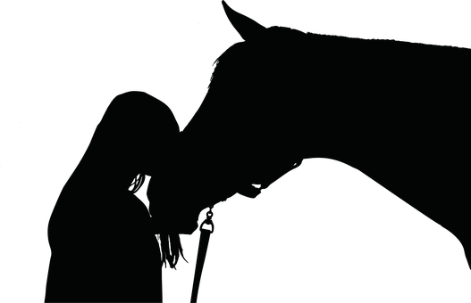 Silhouetted Animalin Darkness PNG image