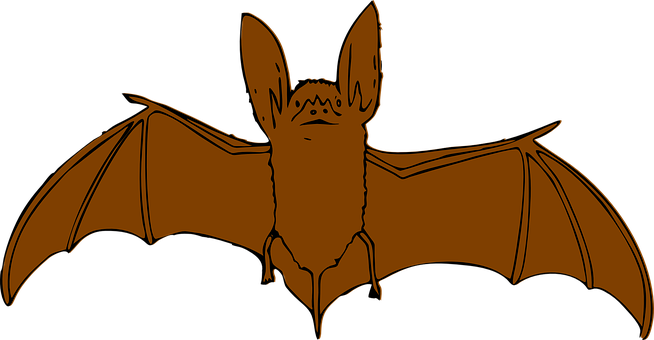 Silhouetted Bat Flying Against Dark Background PNG image