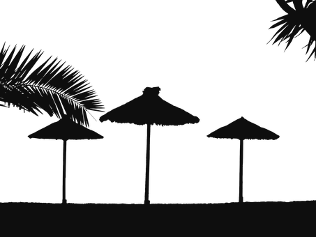 Silhouetted Beach Umbrellasat Night PNG image