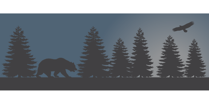 Silhouetted Bearin Forestat Dusk PNG image