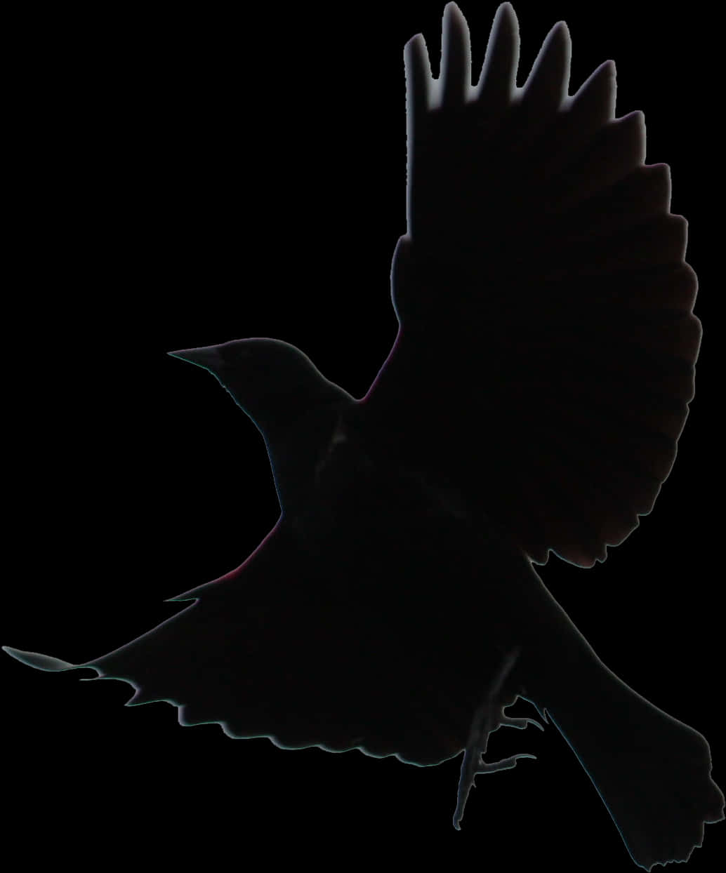 Silhouetted Birdin Flight PNG image