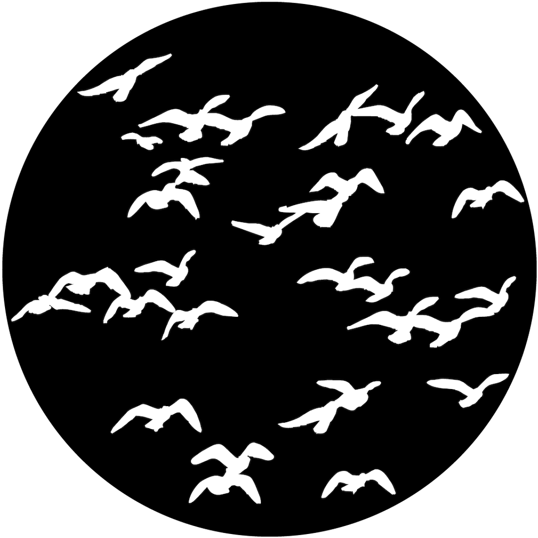 Silhouetted Birdsin Flight PNG image