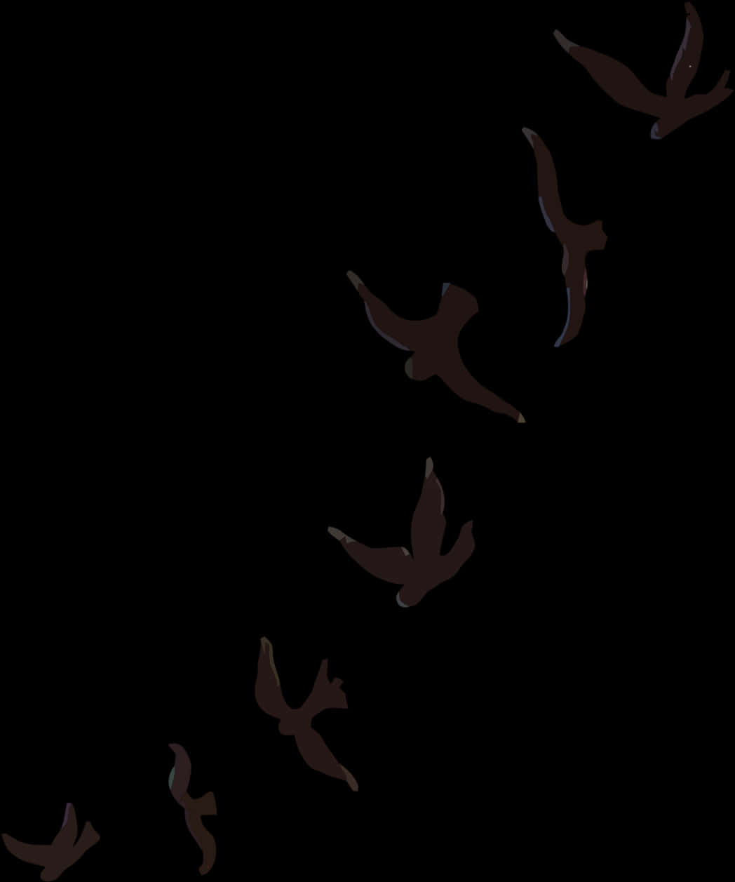 Silhouetted Birdsin Flight PNG image