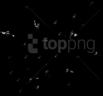 Silhouetted Birdsin Night Sky PNG image