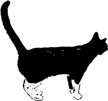 Silhouetted Cat Profile PNG image