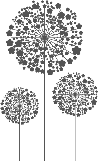 Silhouetted Dandelions Graphic PNG image