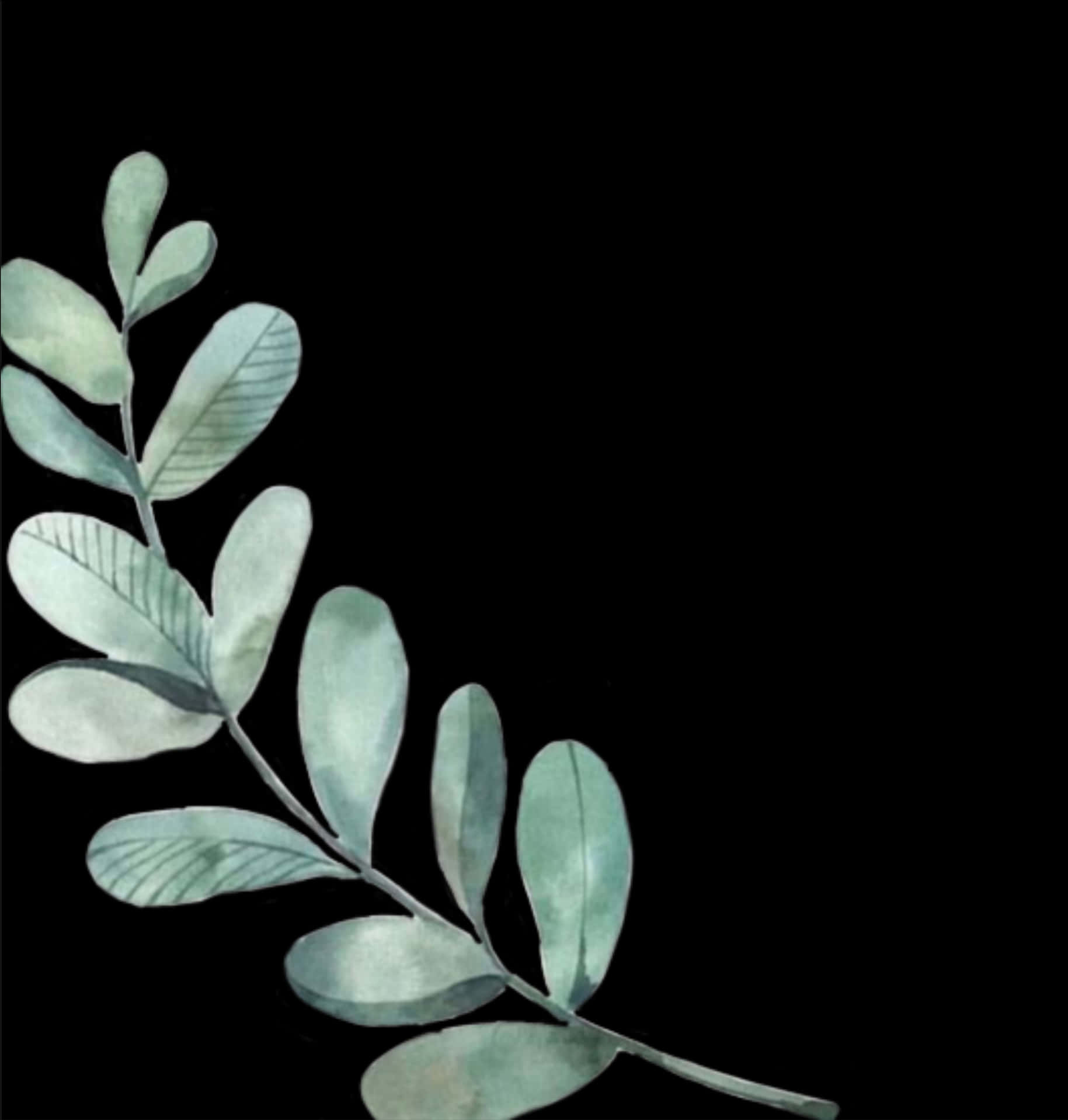 Silhouetted Green Leaves Against Black Background PNG image