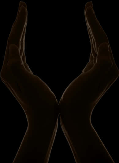 Silhouetted Hands Forming Steeple PNG image