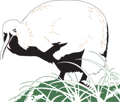 Silhouetted Kiwi Bird Nighttime PNG image