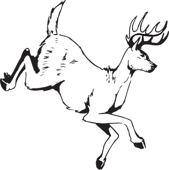 Silhouetted Leaping Deer PNG image