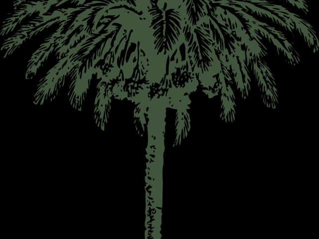 Silhouetted Palm Tree Artwork PNG image