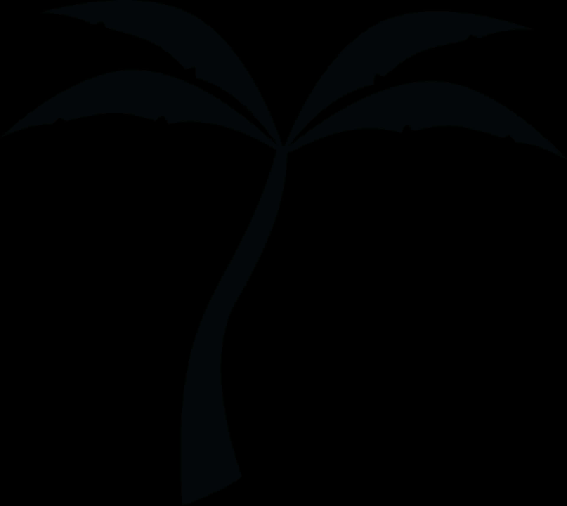 Silhouetted Palm Tree Night Sky PNG image