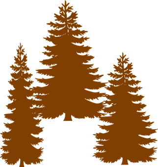Silhouetted Pine Trees Graphic PNG image
