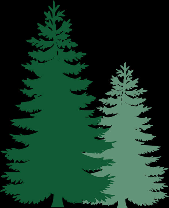 Silhouetted Pine Trees Graphic PNG image