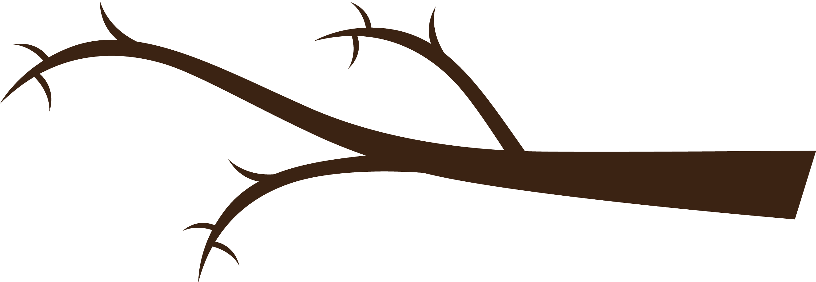 Silhouetted Tree Branchwith Thorns PNG image