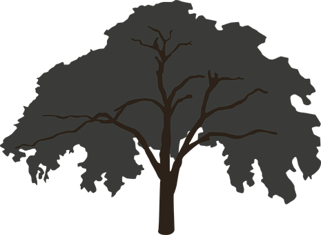 Silhouetted Tree Graphic PNG image