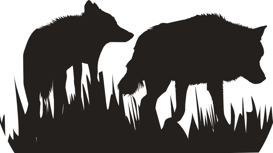 Silhouetted Wolvesin Grass PNG image