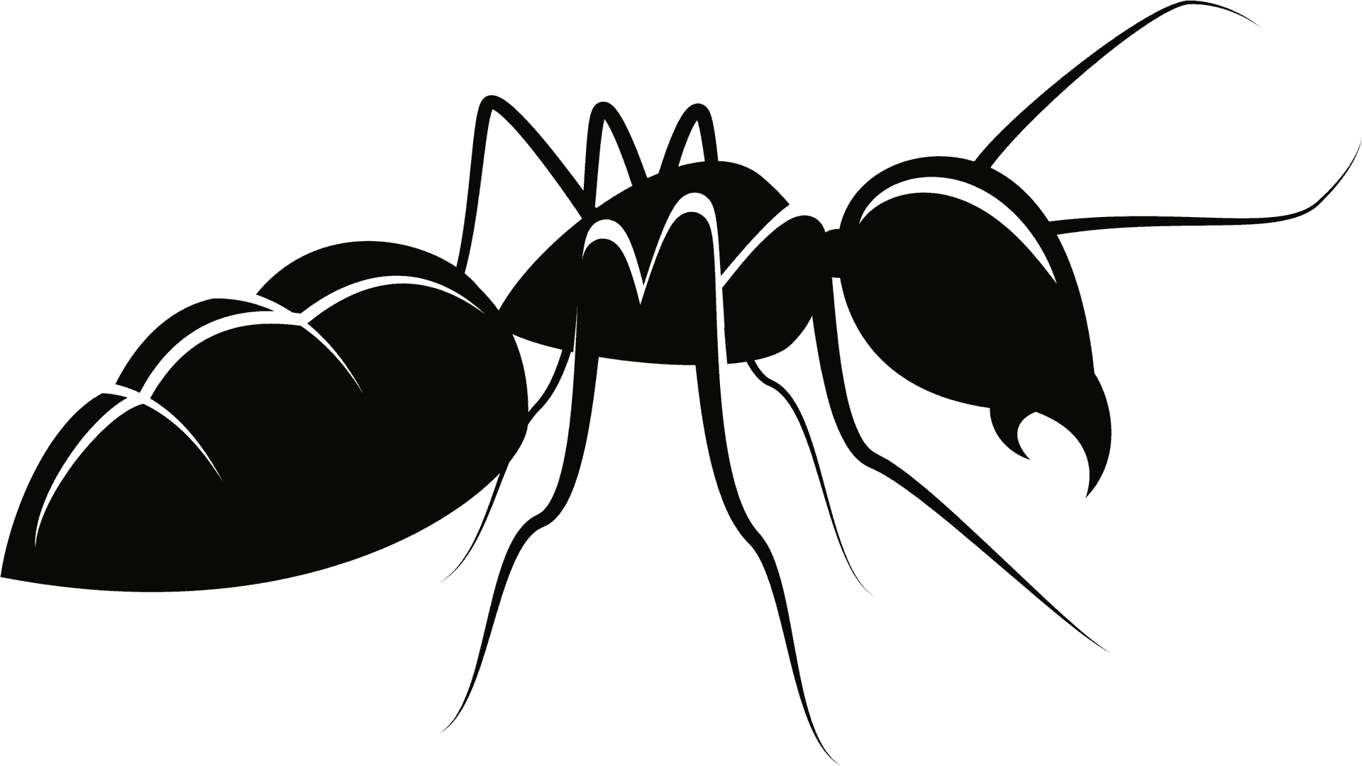 Silhouetteof Ant PNG image