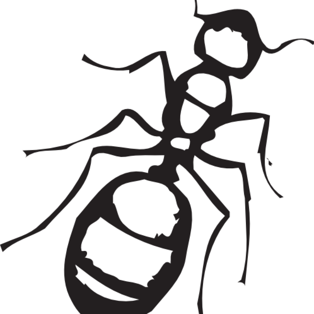 Silhouetteof Ant PNG image