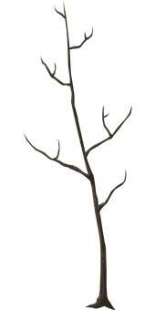 Silhouetteof Bare Tree Against Dark Background PNG image