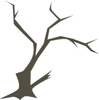 Silhouetteof Bare Tree Branches PNG image