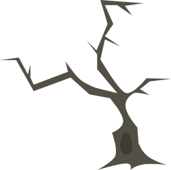 Silhouetteof Bare Tree PNG image