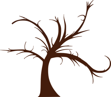 Silhouetteof Bare Tree PNG image