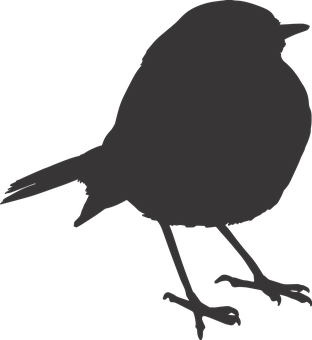 Silhouetteof Birdon Black Background PNG image